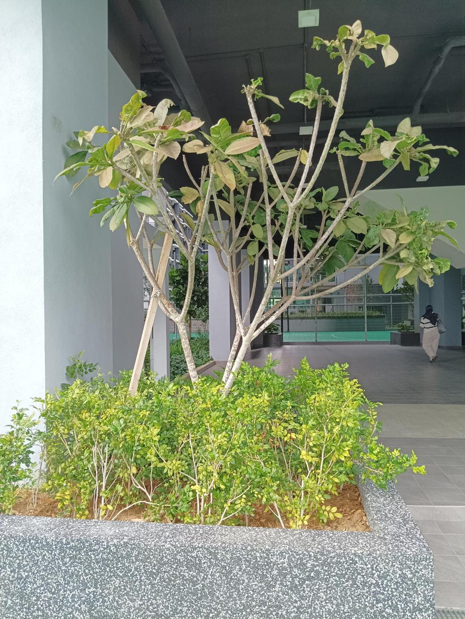 Pangsapuri Rumakl At Majestic Maxim Kuala Lumpur